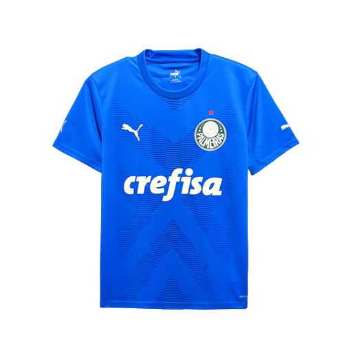 Camisa Puma Palmeiras Blue 23/24